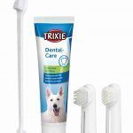Set de higiene dental TRIXIE para perros con cepillo y pasta dental