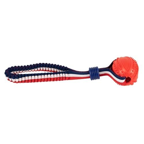 Lanzador elástico con pelota - Imagen 2