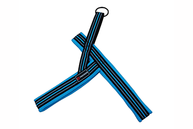 FREEDOG Arnés Softsport Azul